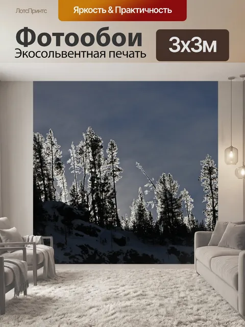 Фотообои Ледяные деревья