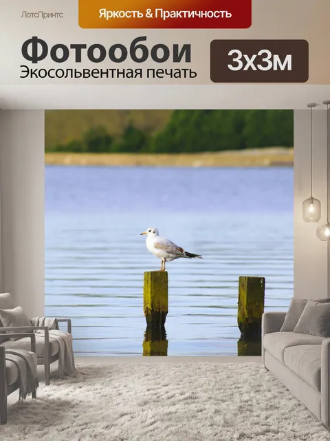 Фотообои Птица