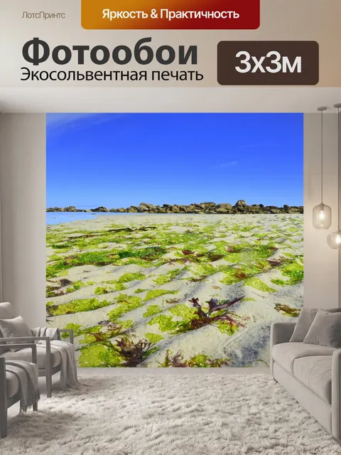 Фотообои Пляж