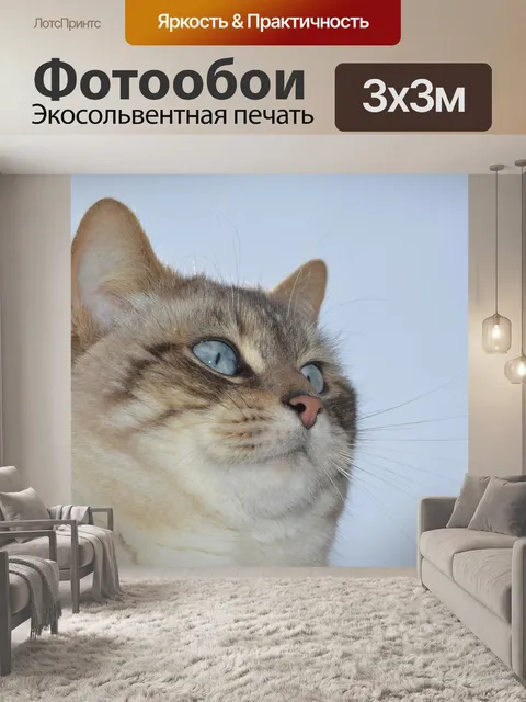 Фотообои Кошка