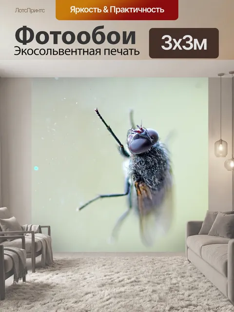 Фотообои Осень