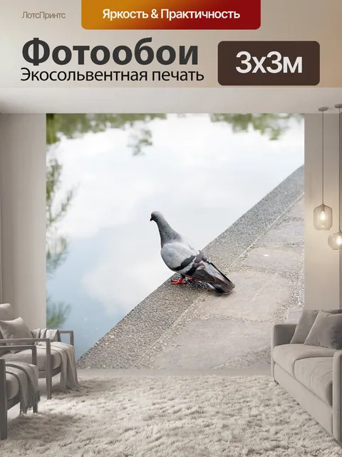Фотообои Птица
