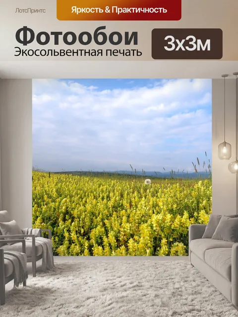 Фотообои Поле