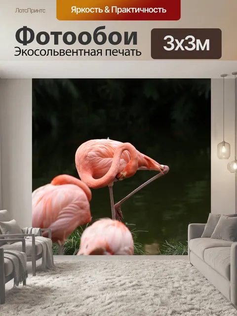 Фотообои Фламенко