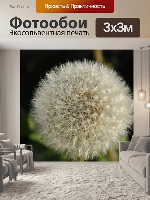 Фотообои Одуванчик