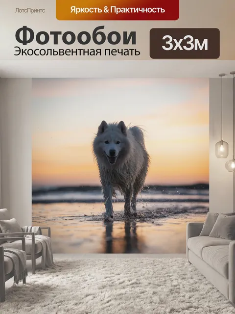 Фотообои Собака