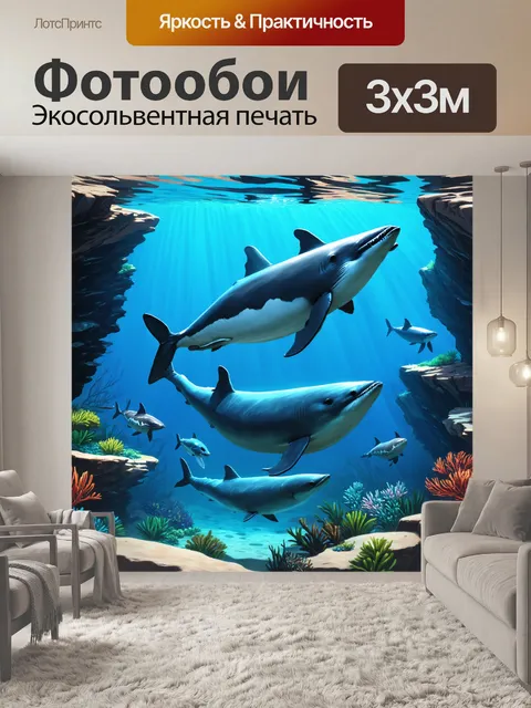 Фотообои животные в стиле изометрическая иллюстрация с морскими млекопитающими