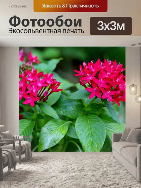 Фотообои Флора