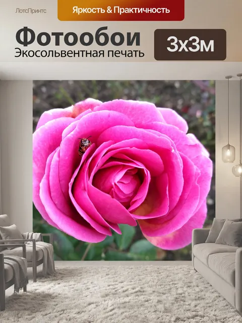 Фотообои Роза