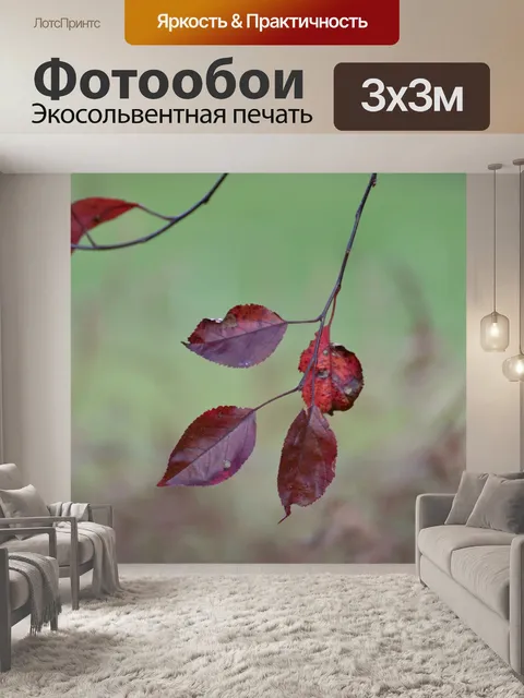 Фотообои Листья на ветке