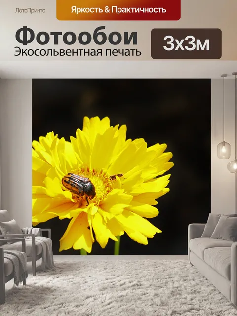 Фотообои Tickseed Wildflower and Beetle