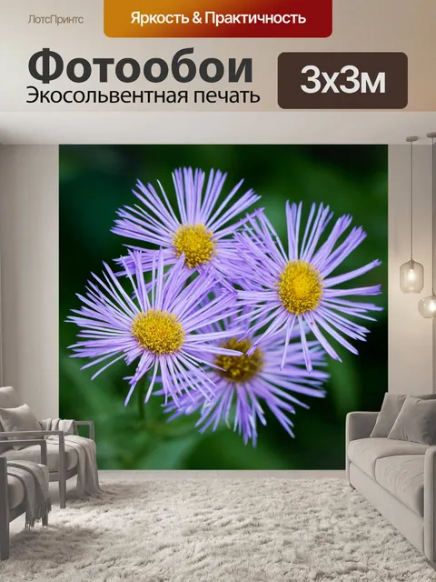 Фотообои Цветы