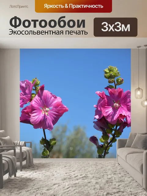 Фотообои Цветы