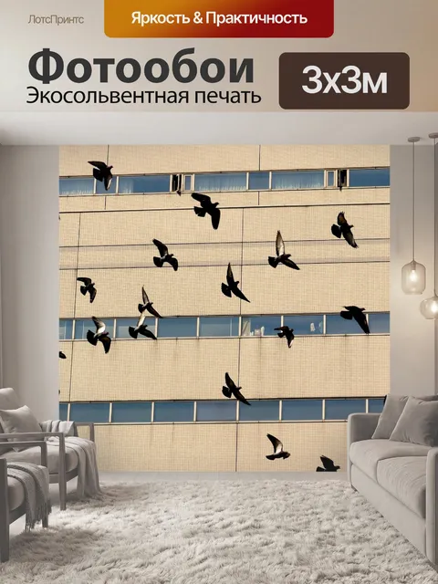 Фотообои Голубь
