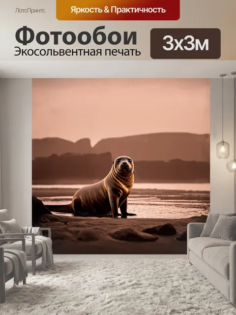 Фотообои тюлень, сидящий на берегу, с любопытным взглядом, окруженный туманным закатом, с силуэтом скал на заднем…