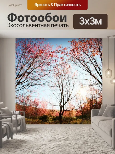 Фотообои Prunus cerasoides, дикая гималайская виш
