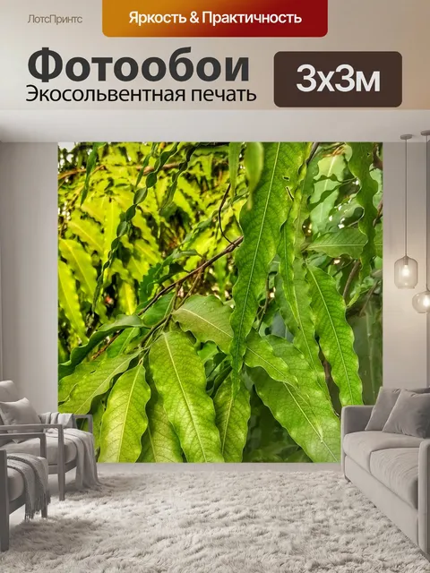 Фотообои Птица