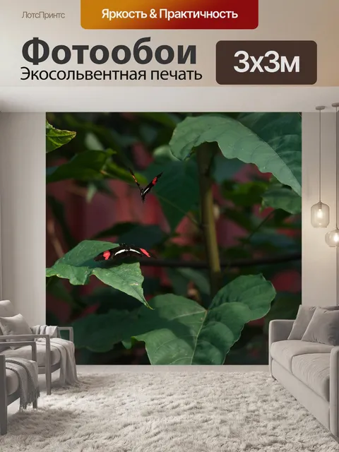 Фотообои Животные