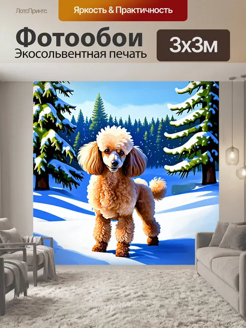 Фотообои пудель на фоне зимней сцены с заснеженными деревьями и морозным воздухом, его шерсть кажется особенно пушистой