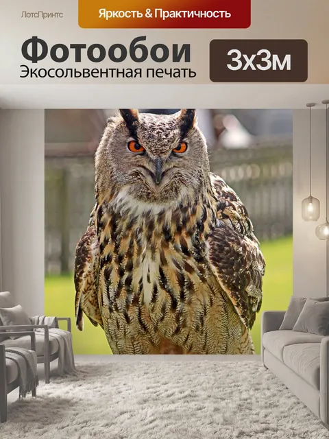 Фотообои Филин