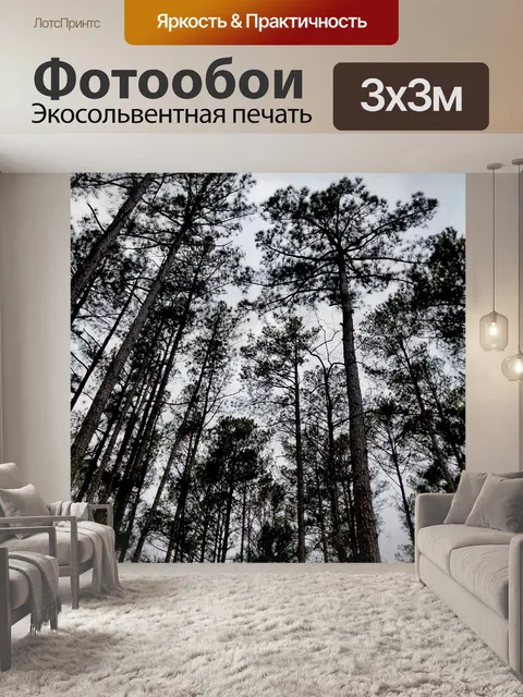 Фотообои Деревья