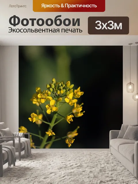 Фотообои ярко-желтые цветы и бутоны