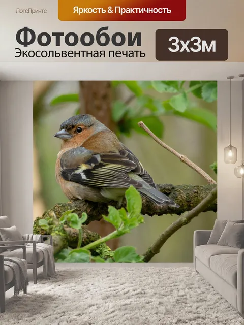 Фотообои Птицы