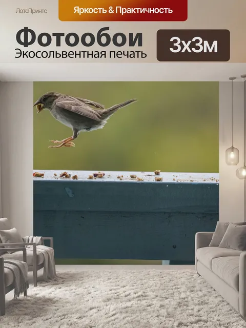 Фотообои Посадка птиц