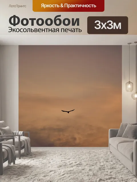 Фотообои Чайка