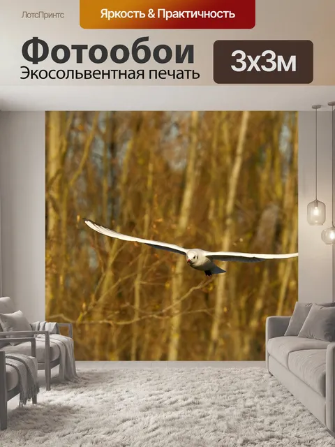 Фотообои Птицы