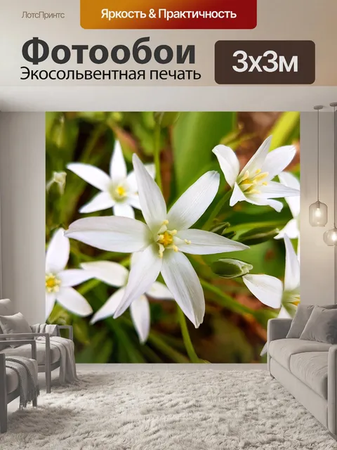 Фотообои Цветы