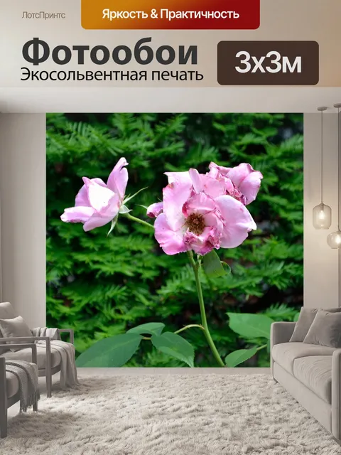 Фотообои Сад
