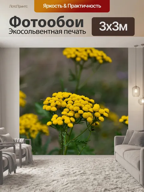 Фотообои Цветок