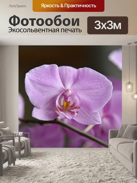 Фотообои Орхидеи