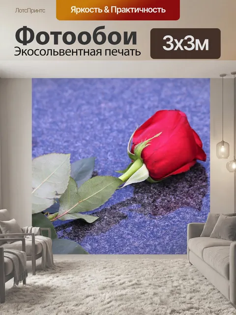 Фотообои Один красная роза