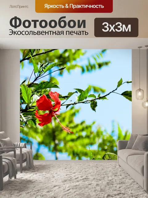 Фотообои Красный