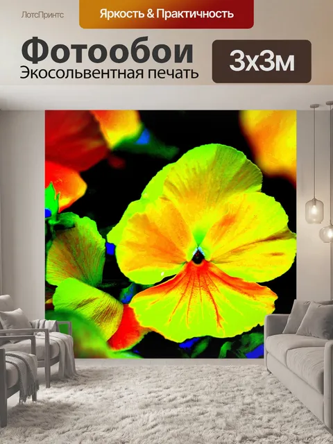 Фотообои Красочные цветы