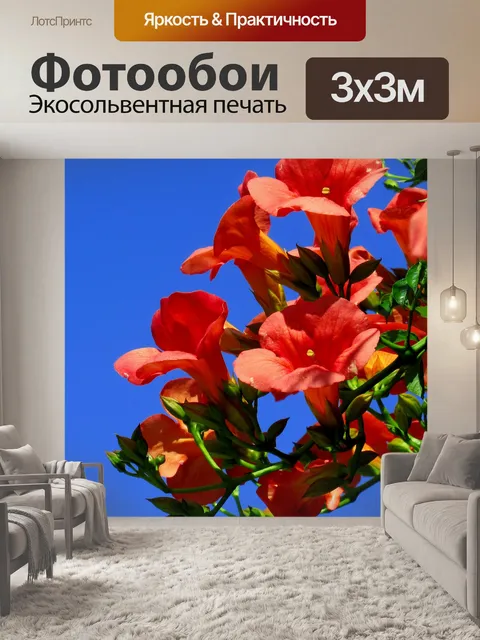Фотообои Цветы