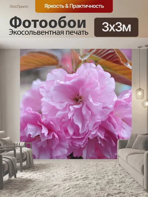 Фотообои Цветок