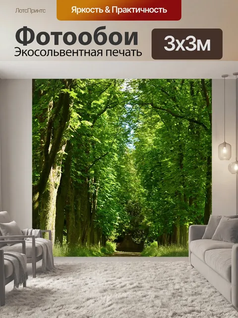 Фотообои Дорожка