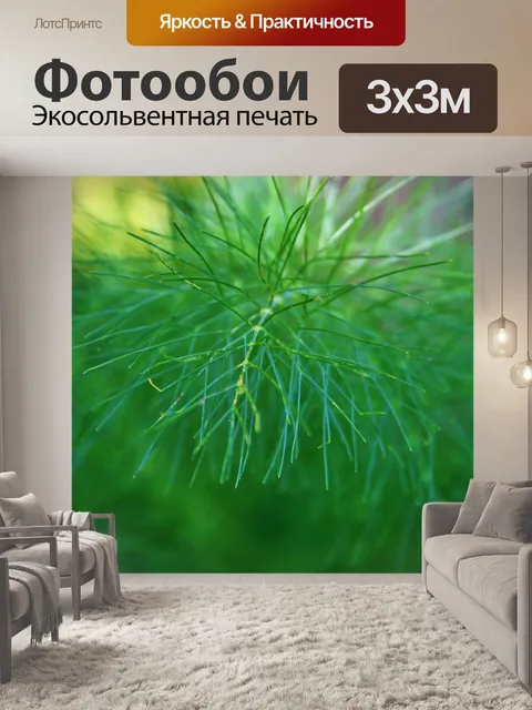 Фотообои фенхель веточка 2