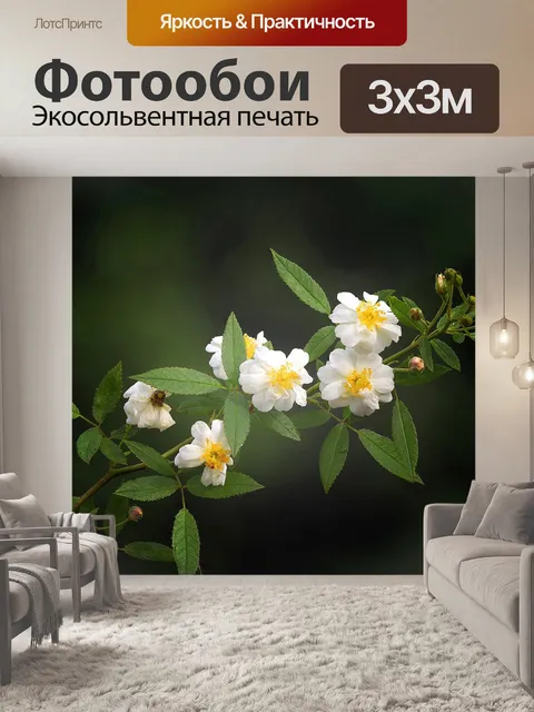 Фотообои Роза