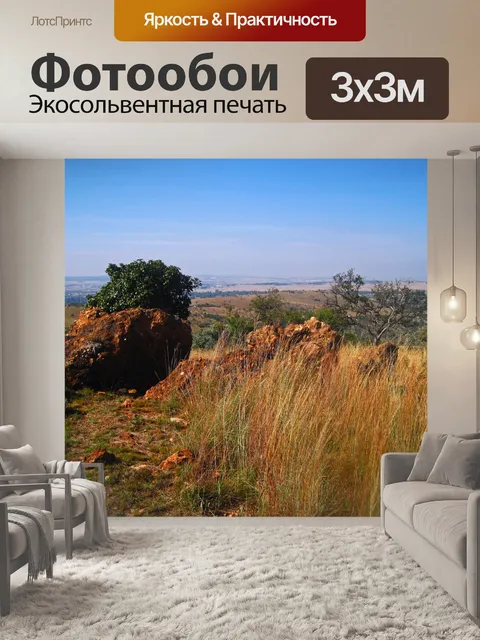 Фотообои высокая трава и камни на холме