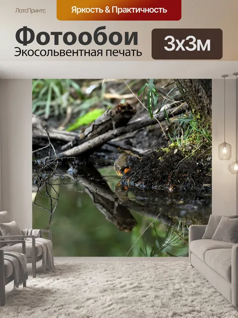 Фотообои Птица