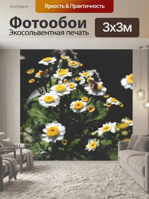 Фотообои Ромашки