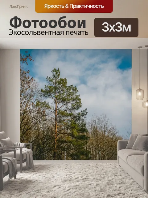 Фотообои Деревья