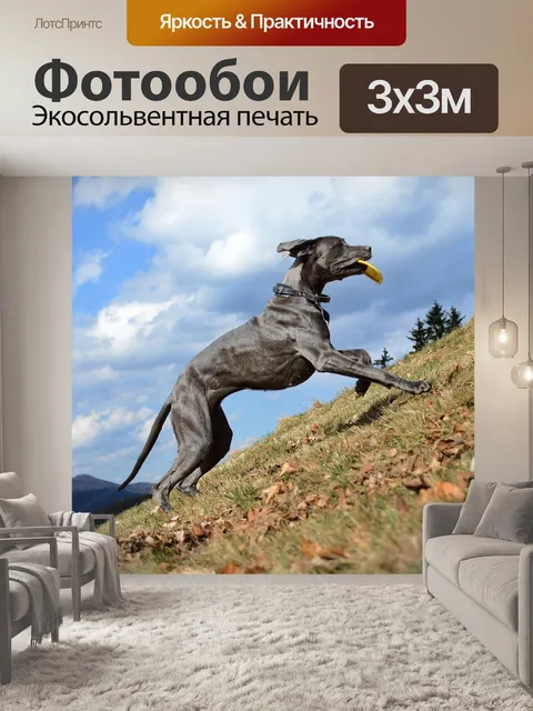 Фотообои Великий датчанин