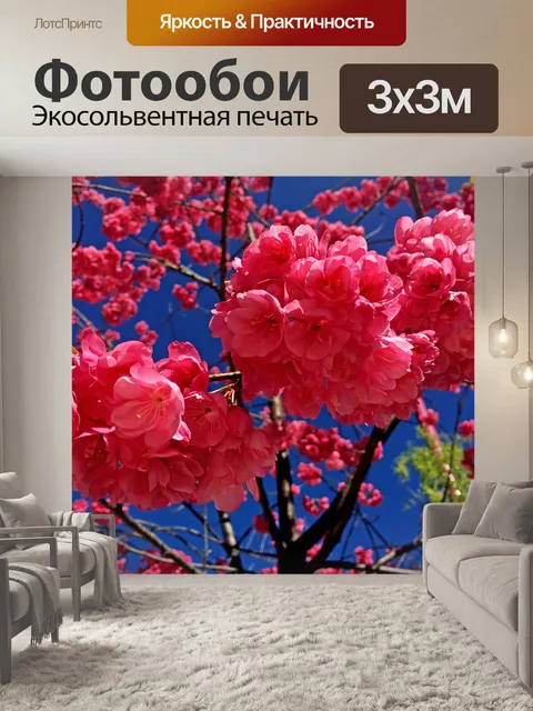 Фотообои Цветок
