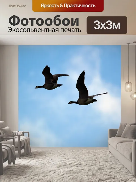 Фотообои Гуси