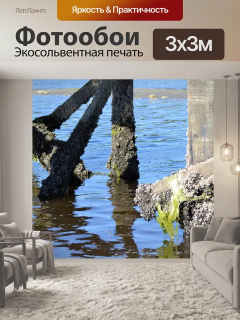 Фотообои Под Boardwalk